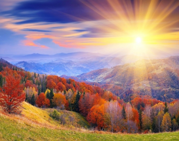 Sun-view-2B-25282-2529.jpg